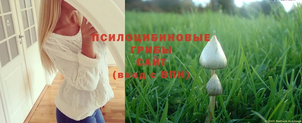 а пвп мука Верея
