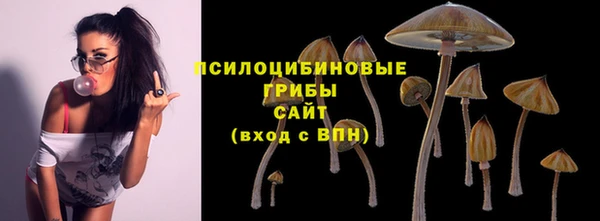 а пвп мука Верея