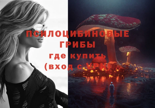 СК Верхний Тагил