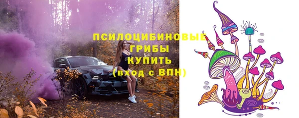 СК Верхний Тагил