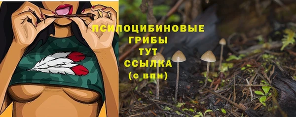 бошки Верхнеуральск